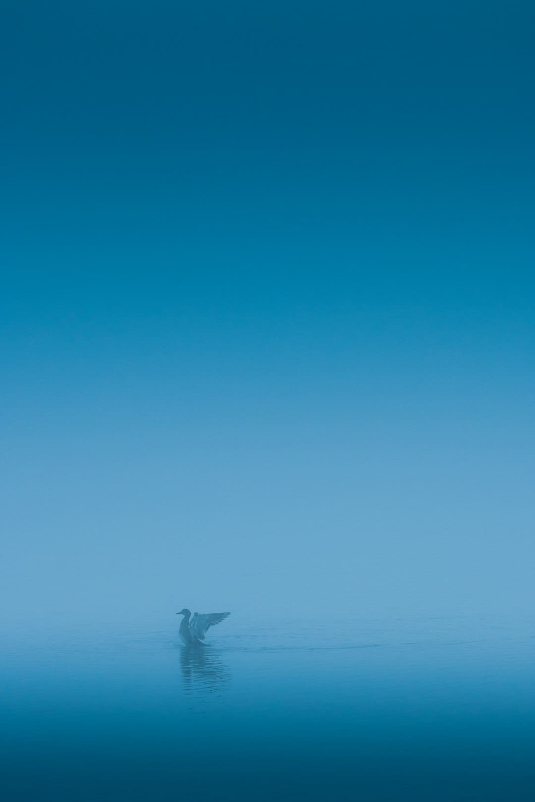 漳浦开渔 千帆竞发赴蓝海